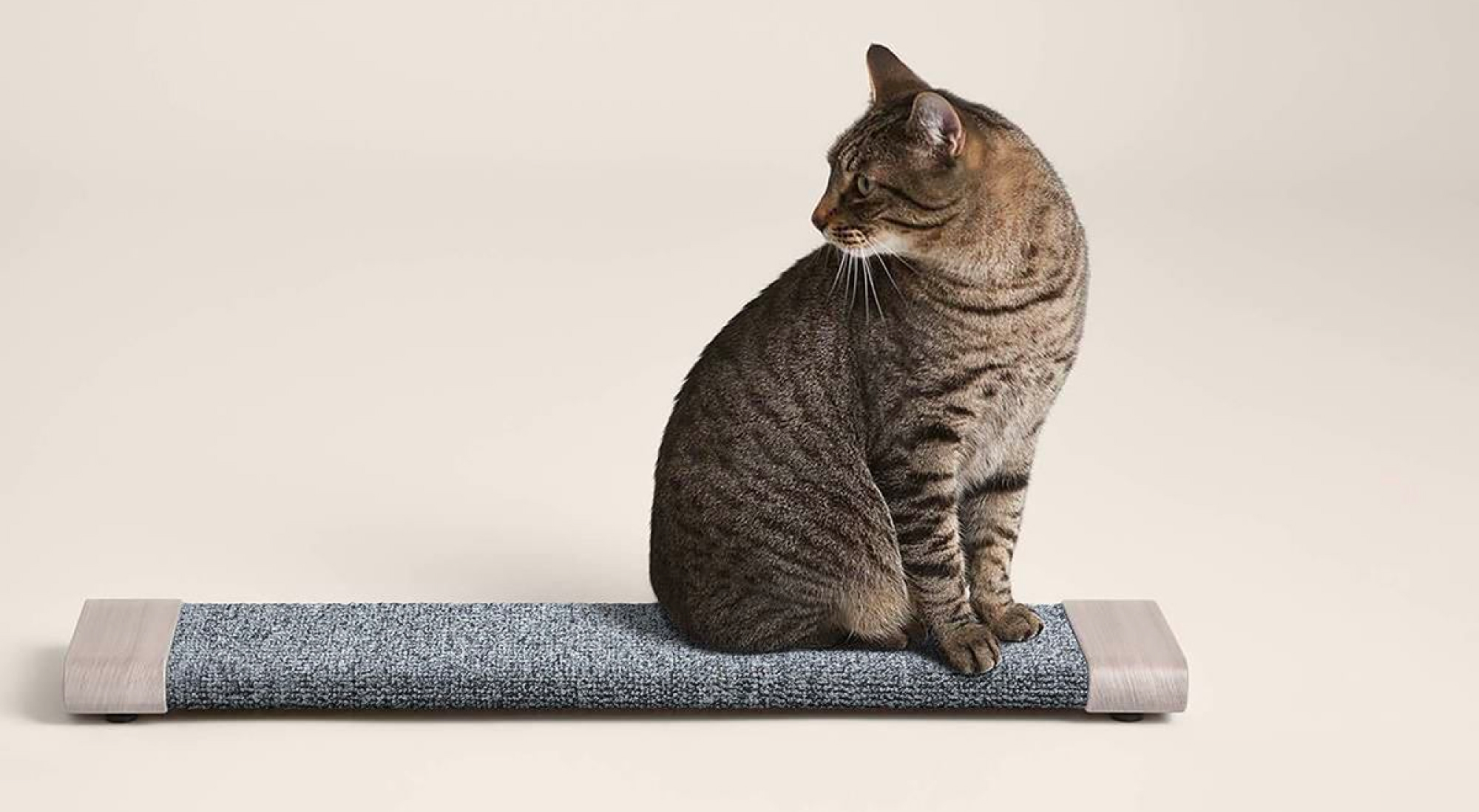 16 modern cat scratchers for welldesigned spaces